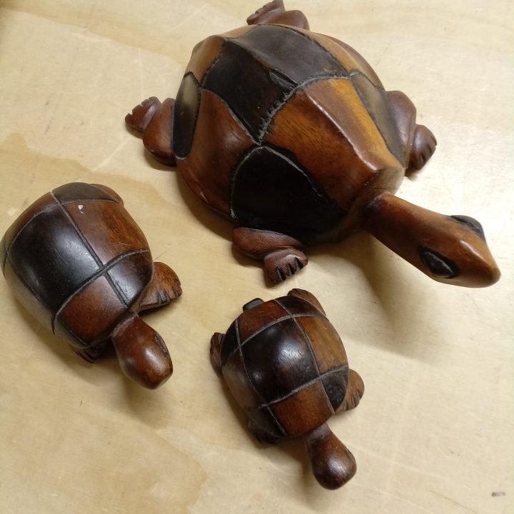 Drie schildpadden kopen bij RataPlan webshop!