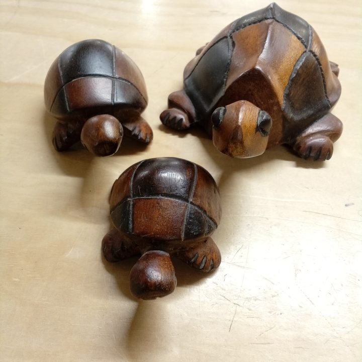 Drie schildpadden kopen bij RataPlan webshop!