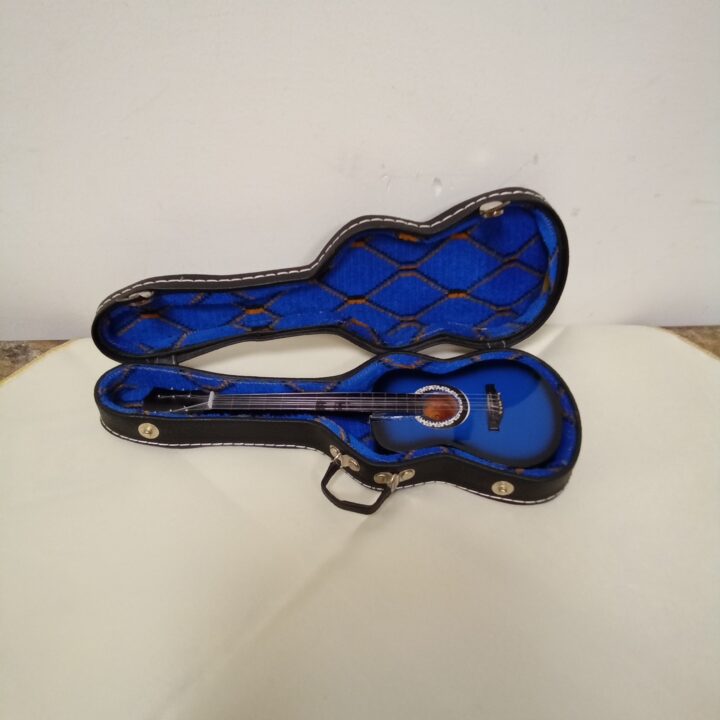 Gitaar in koffer kopen bij RataPlan webshop!