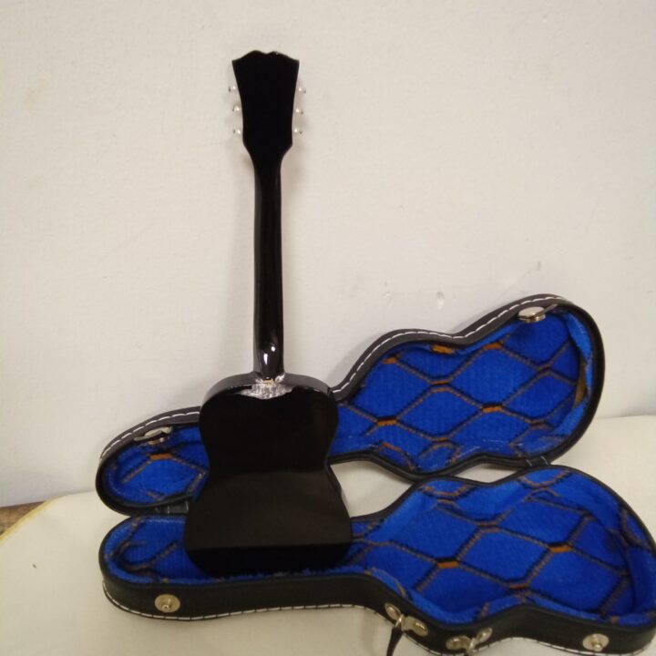 Gitaar in koffer kopen bij RataPlan webshop!