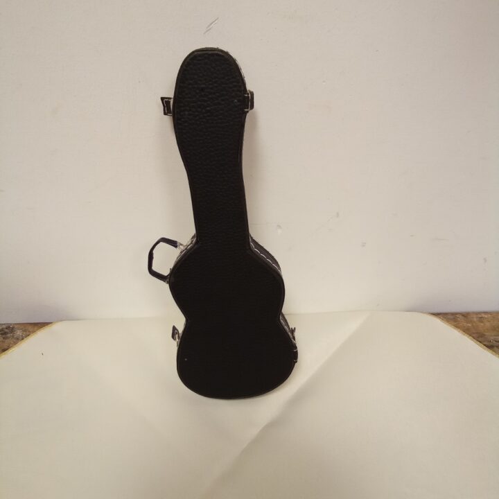 Gitaar in koffer kopen bij RataPlan webshop!