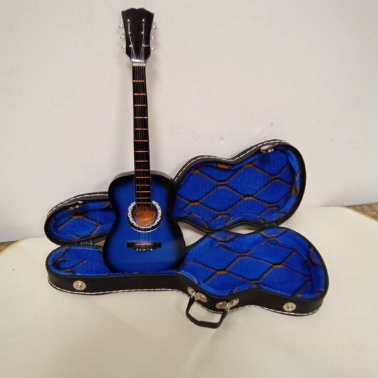 Gitaar in koffer kopen bij RataPlan webshop!