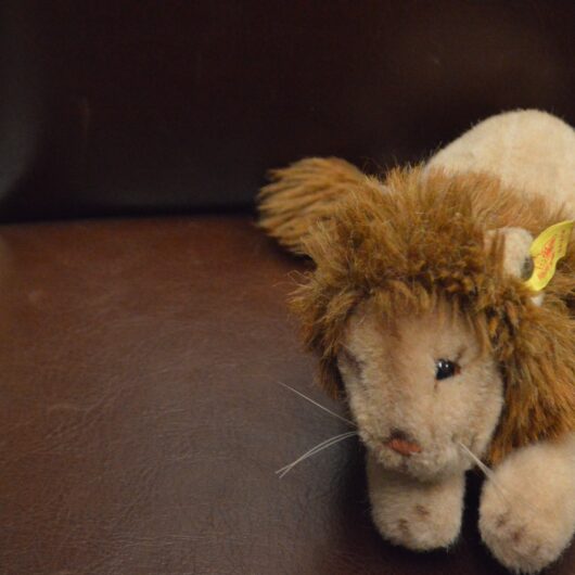 Steiff Bear Leeuwtje kopen bij RataPlan webshop!