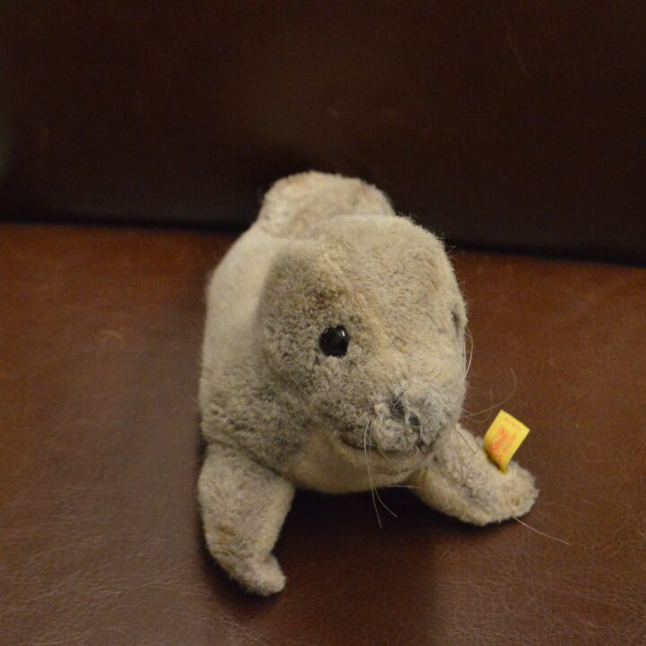 Steiff Bear zeehond kopen bij RataPlan webshop!