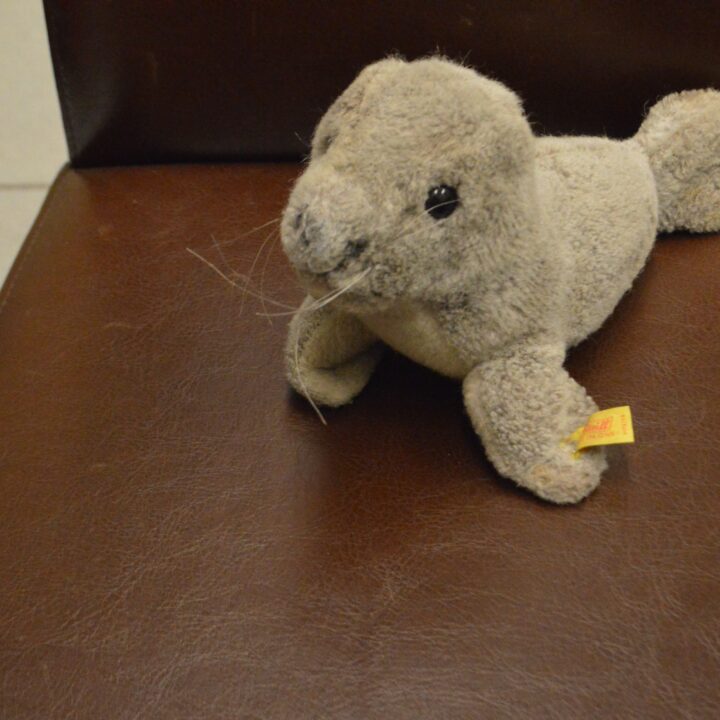 Steiff Bear zeehond kopen bij RataPlan webshop!