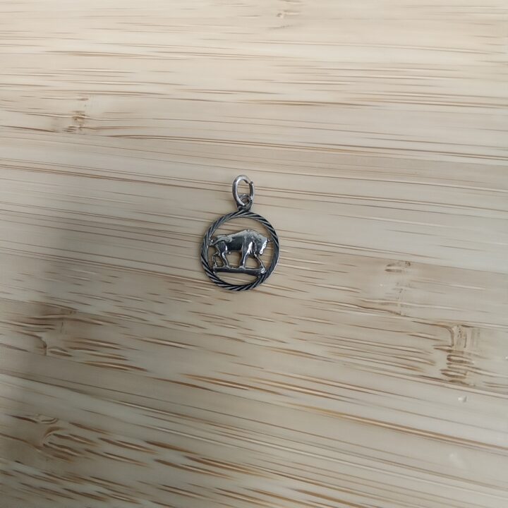 sterrenbeeld Stier kopen bij RataPlan webshop!