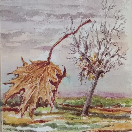 Brief aan mijn moeder | Ischa Meijer | 1975 | Softcover