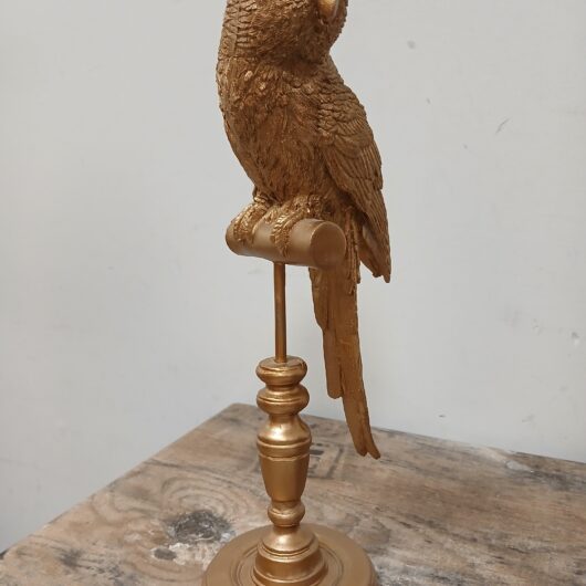 Goudkleurige parkiet kopen bij RataPlan webshop!