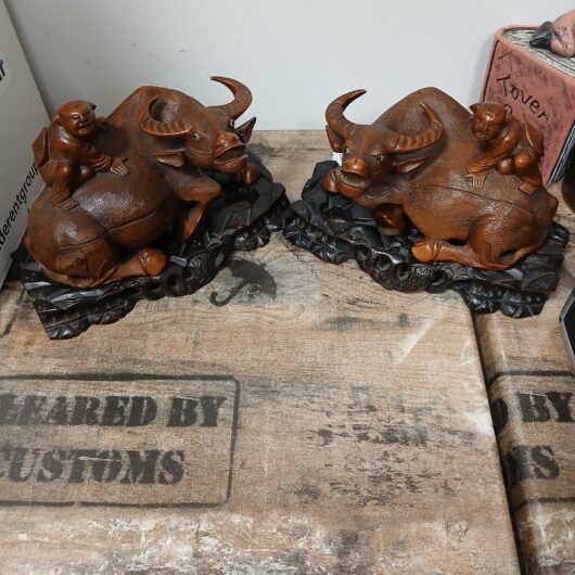Waterbuffels met man op rug kopen bij RataPlan webshop!