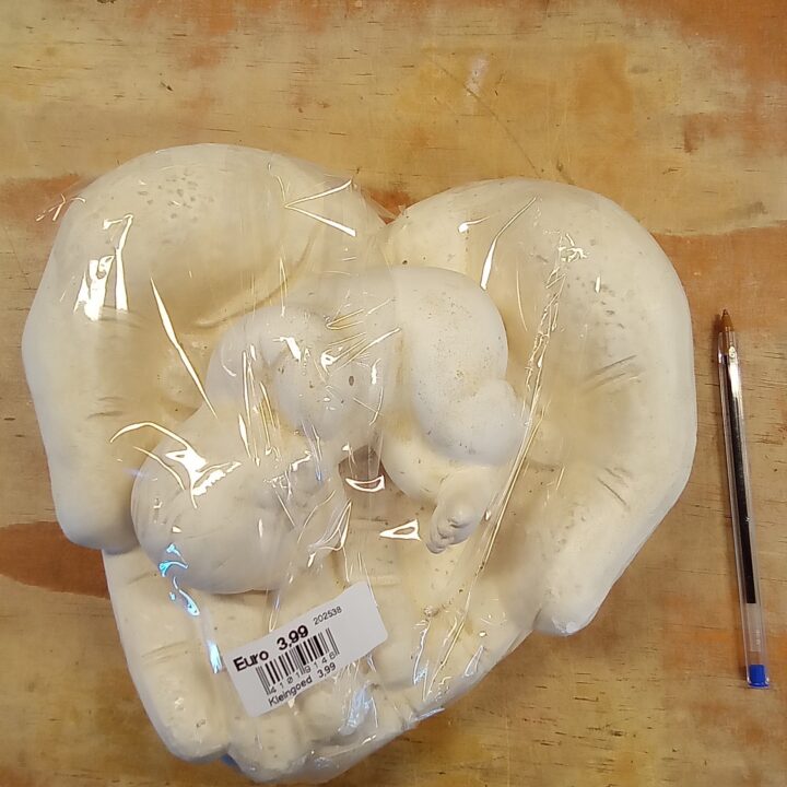 Beeld 2 grote handen met baby erin kopen bij RataPlan webshop!
