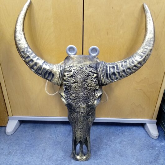 Goudkleurige bizon skull kopen bij RataPlan webshop!