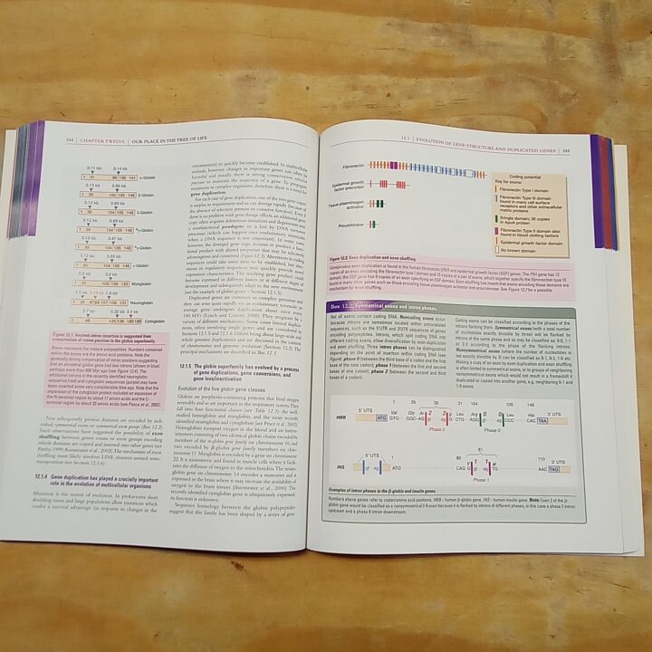 Boek Human Molecular Genetics 3 kopen bij RataPlan webshop!