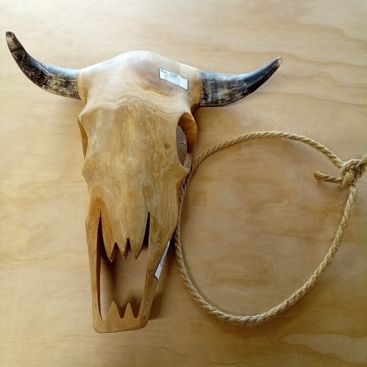 Stier kopen bij RataPlan webshop!