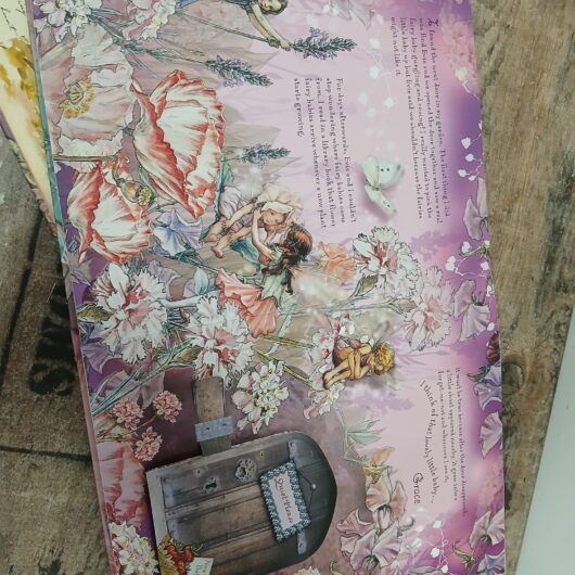 Flower Fairies boeken kopen bij RataPlan webshop!