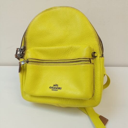 Coach x Keith leren mini rugzak kopen bij RataPlan webshop!