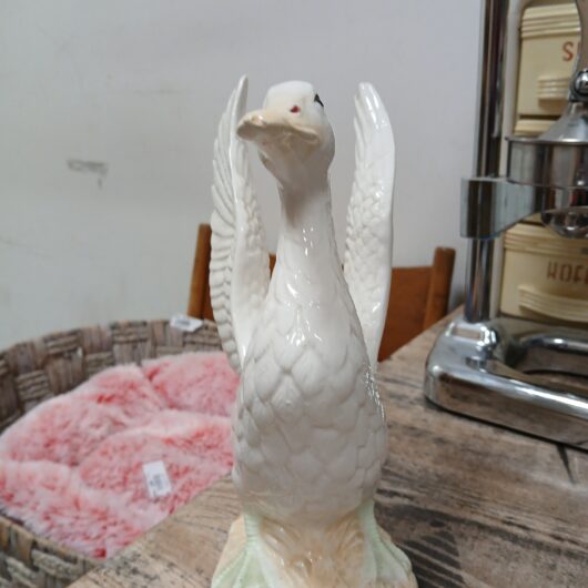 Witte gans kopen bij RataPlan webshop!