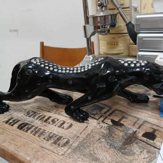 Zwarte panther kopen bij RataPlan webshop!