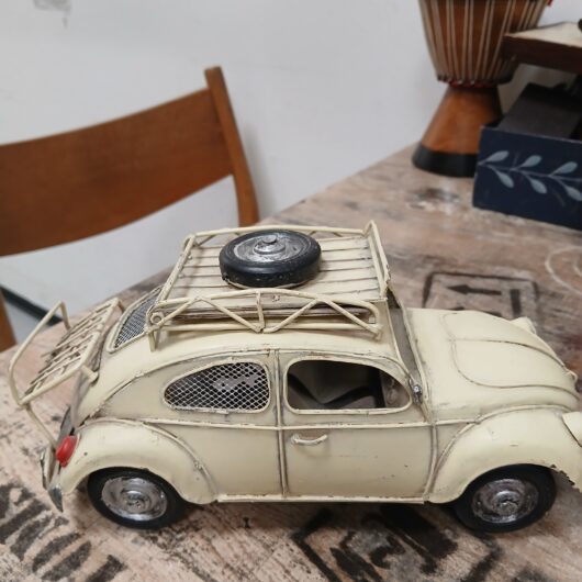 Leuke kever kopen bij RataPlan webshop!