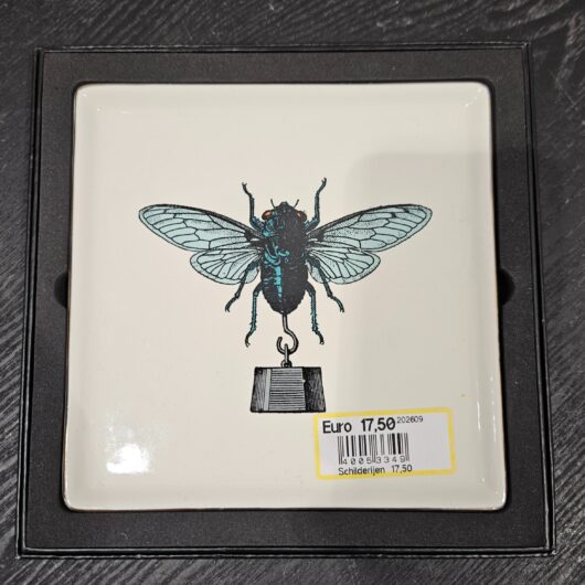 Schaal door Gangzaï kopen bij RataPlan webshop!