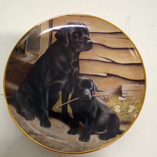 Franklin mint collectie kopen bij RataPlan webshop!