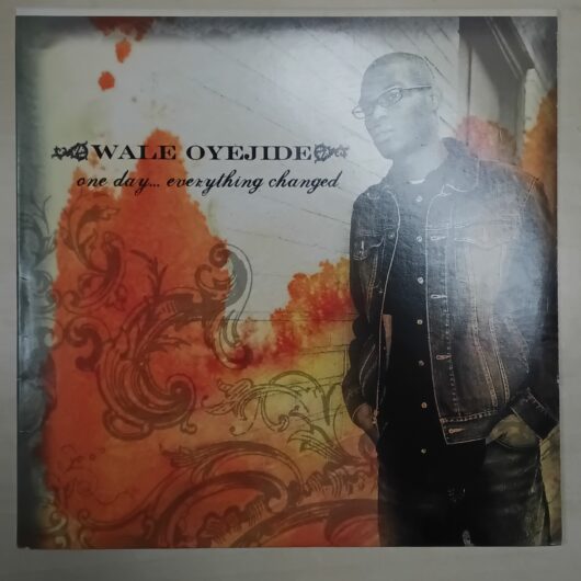 Wale Oyejide - One day everything changed kopen bij RataPlan webshop!